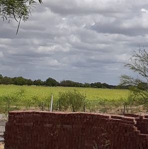 Meet your Posher, Jacobo